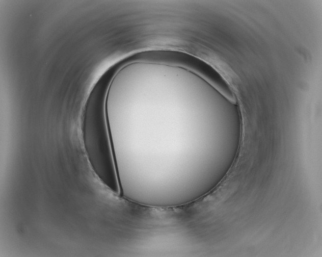 X0000112480960200908311408