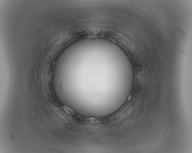 X0000112480961200908311407