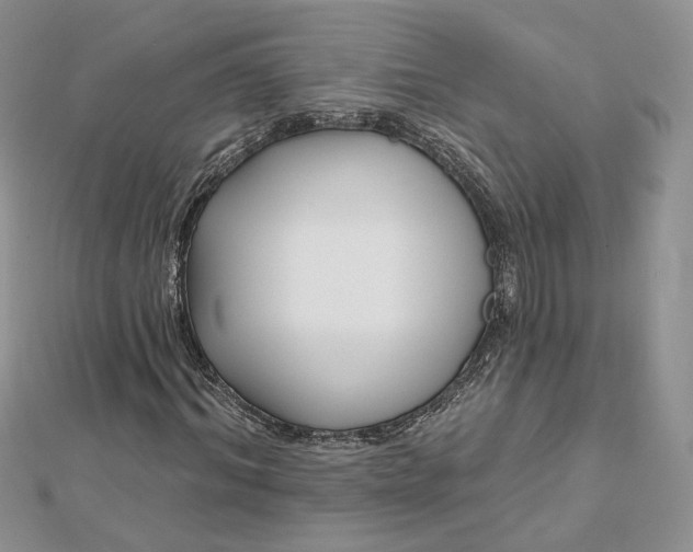 X0000112480964200908311407