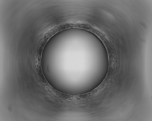 X0000112480966200908311407