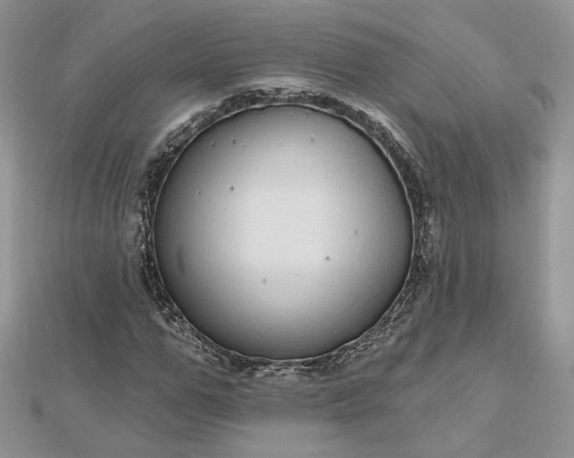 X0000112480967200908311407