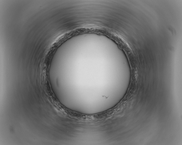 X0000112480968200908311407