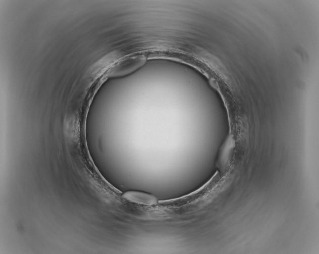 X0000112480969200908311407