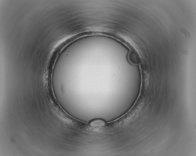 X0000112480971200908311407