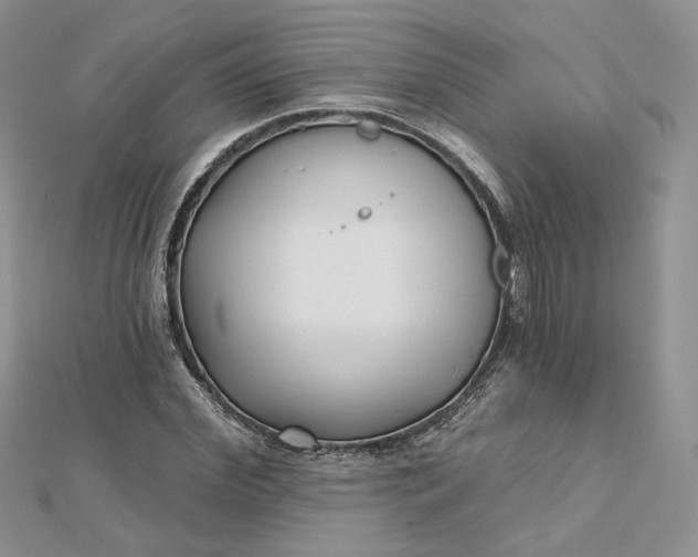 X0000112480972200908311407