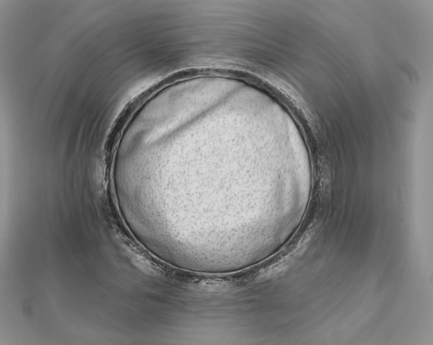 X0000112480974200908311407