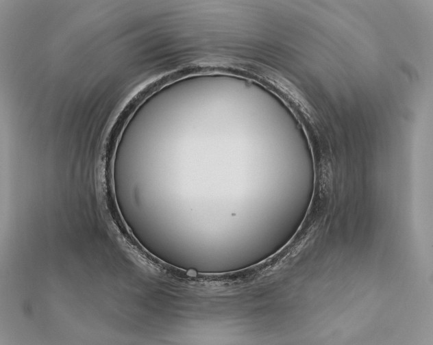 X0000112480976200908311407