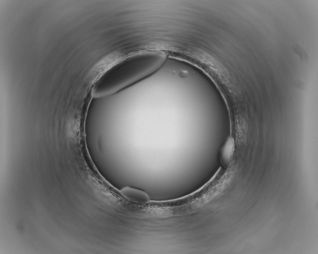 X0000112480977200908311407