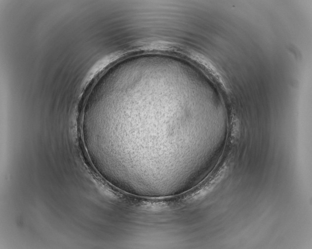 X0000112480978200908311407