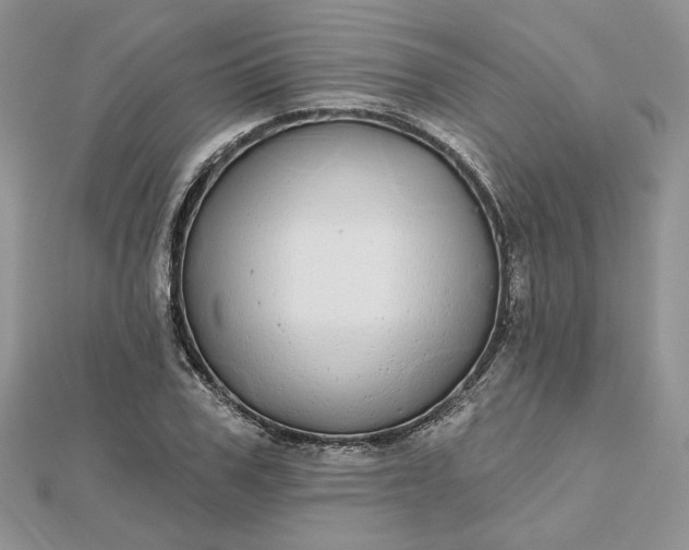 X0000112480979200908311407