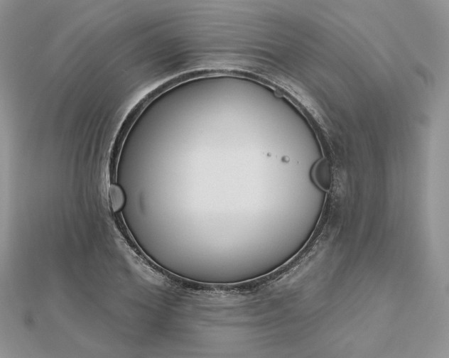 X0000112480980200908311407