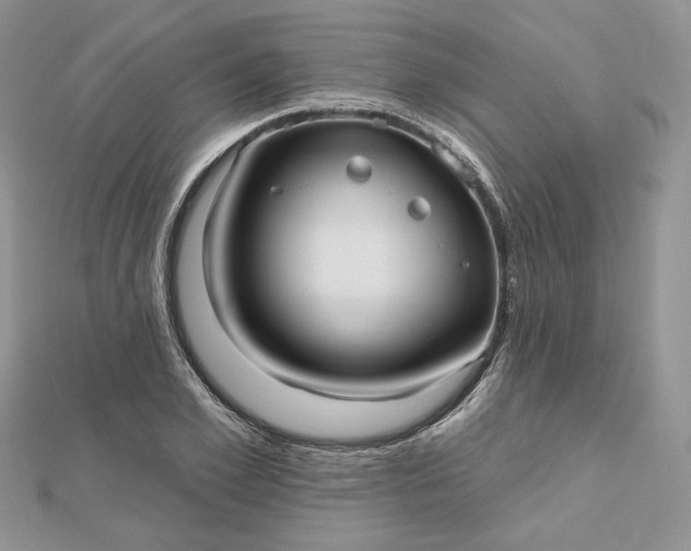 X0000112480981200908311407