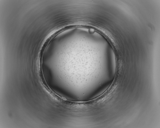 X0000112480982200908311407