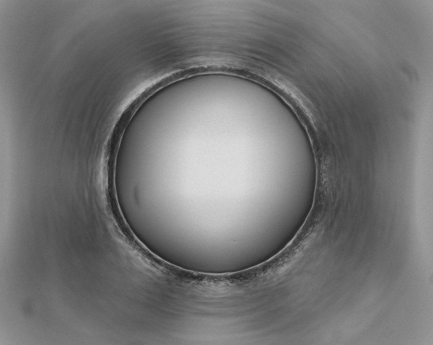 X0000112480983200908311407