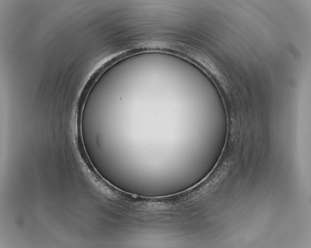 X0000112480984200908311407