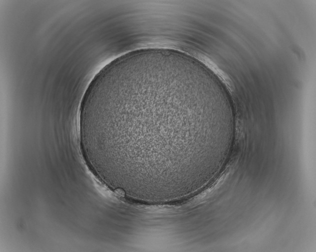 X0000112480988200908311407