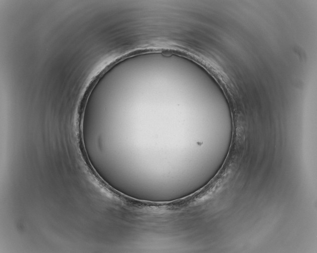 X0000112480990200908311407