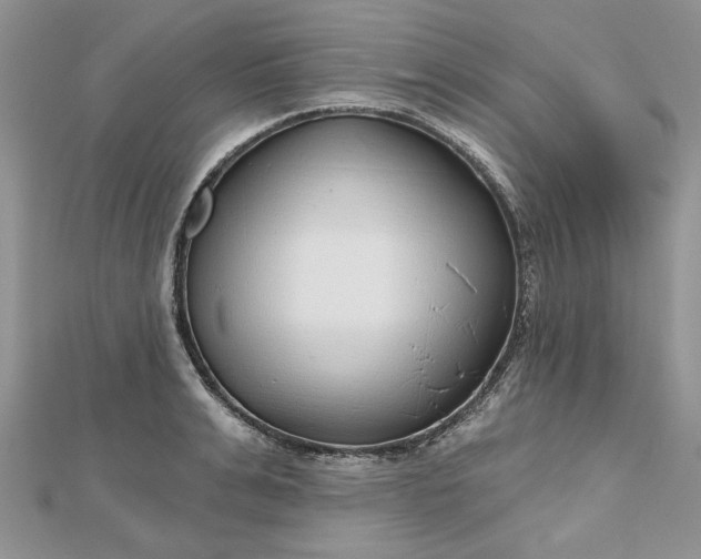 X0000112480991200908311407