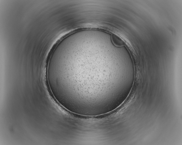 X0000112480992200908311407