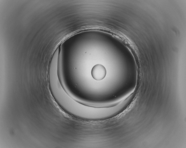 X0000112480993200908311407