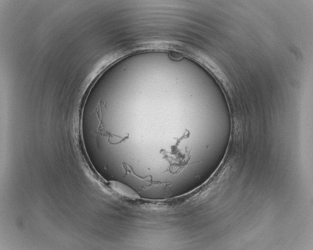 X0000112480994200908311407