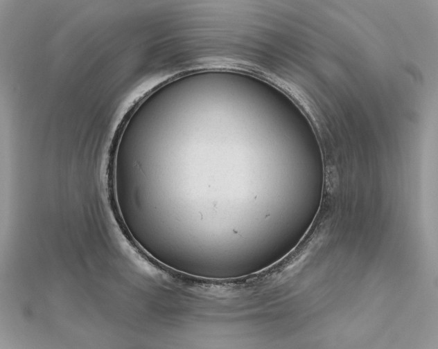 X0000112480995200908311407