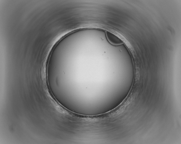 X0000112480996200908311407