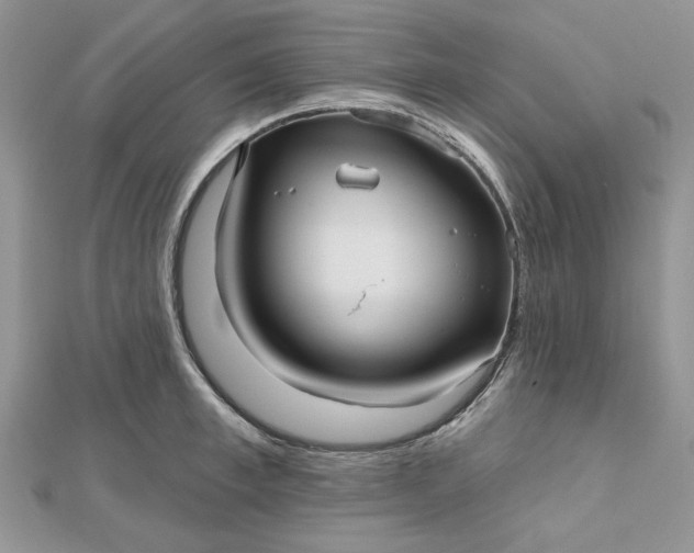 X0000112480997200908311407