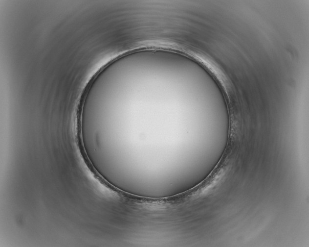 X0000112480999200908311407