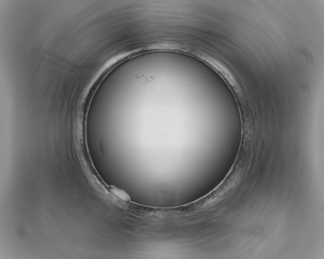 X0000112481000200908311407