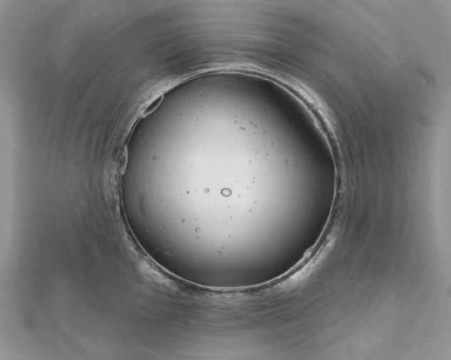 X0000112481001200908311407