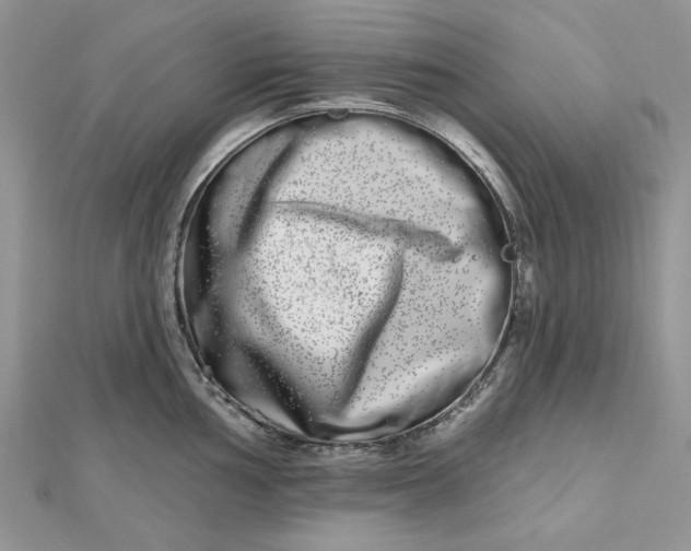 X0000112481002200908311407