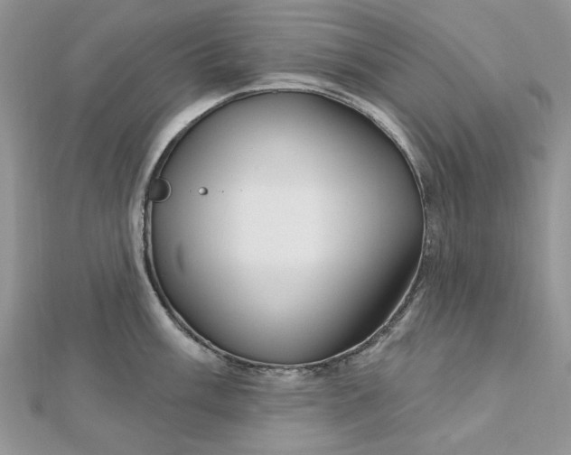 X0000112481003200908311407