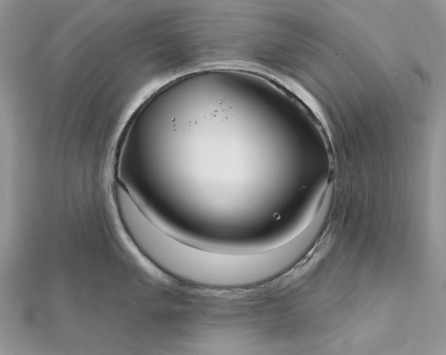 X0000112481005200908311407