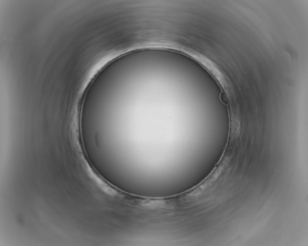 X0000112481006200908311407