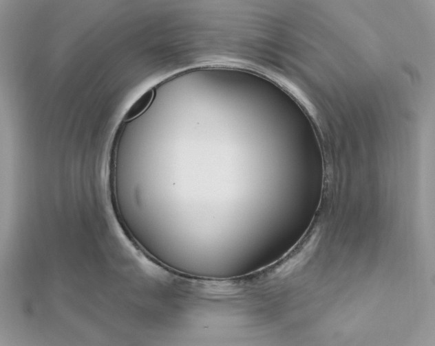 X0000112481007200908311407