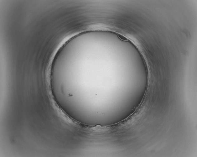 X0000112481008200908311407