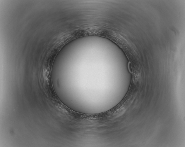 X0000112481010200908311406