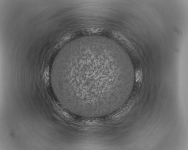 X0000112481011200908311406