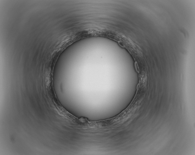 X0000112481012200908311406