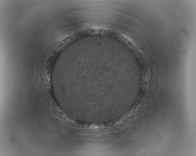 X0000112481013200908311406