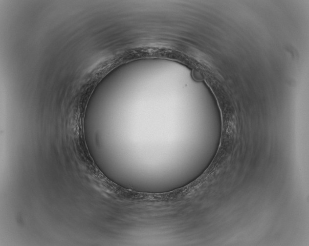 X0000112481014200908311406