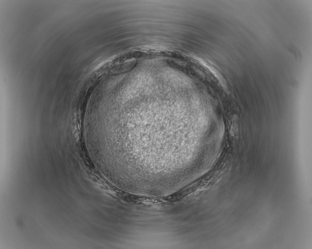 X0000112481015200908311406