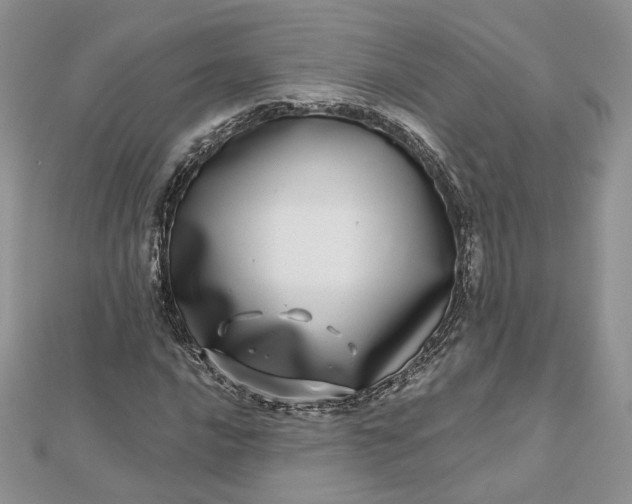 X0000112481016200908311406