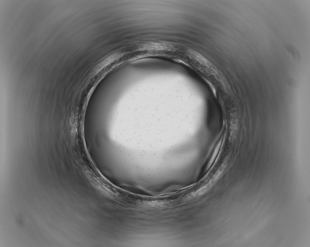 X0000112481017200908311406