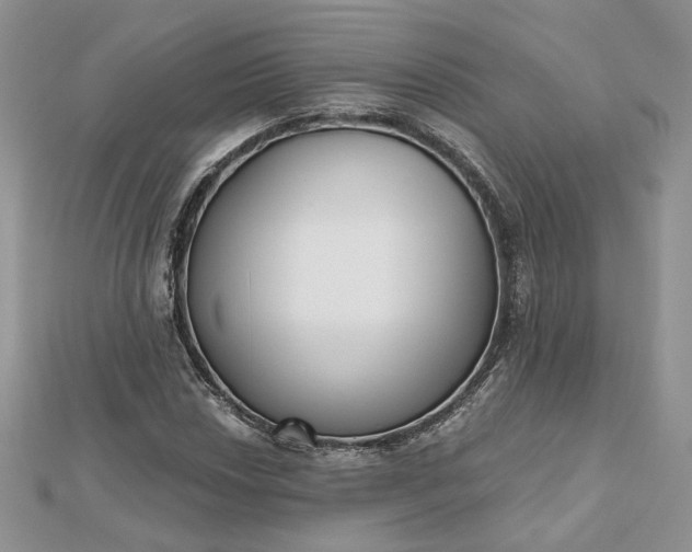 X0000112481018200908311406