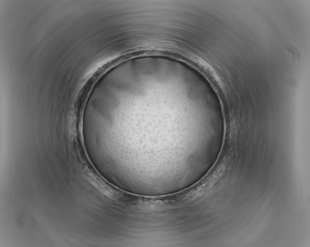 X0000112481019200908311406