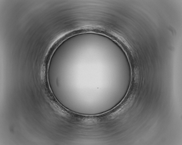 X0000112481021200908311406