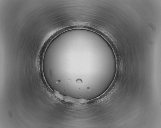 X0000112481022200908311406