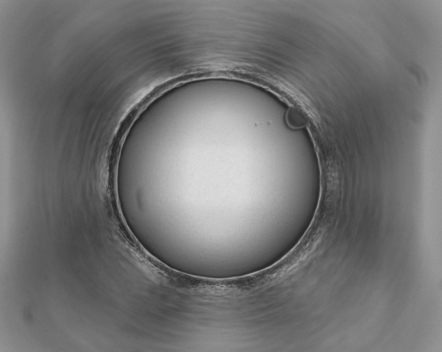 X0000112481023200908311406